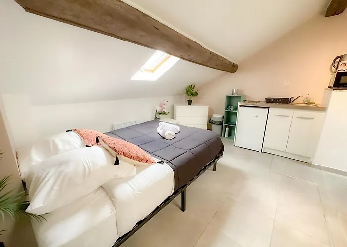 Appartement Cerf4-Centre Ville Meaux-Gare-Disney
