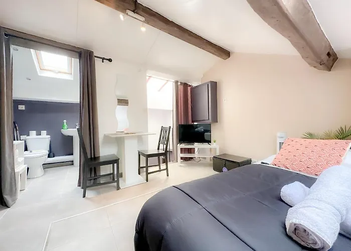 Appartement Cerf4-Centre Ville Meaux-Gare-Disney